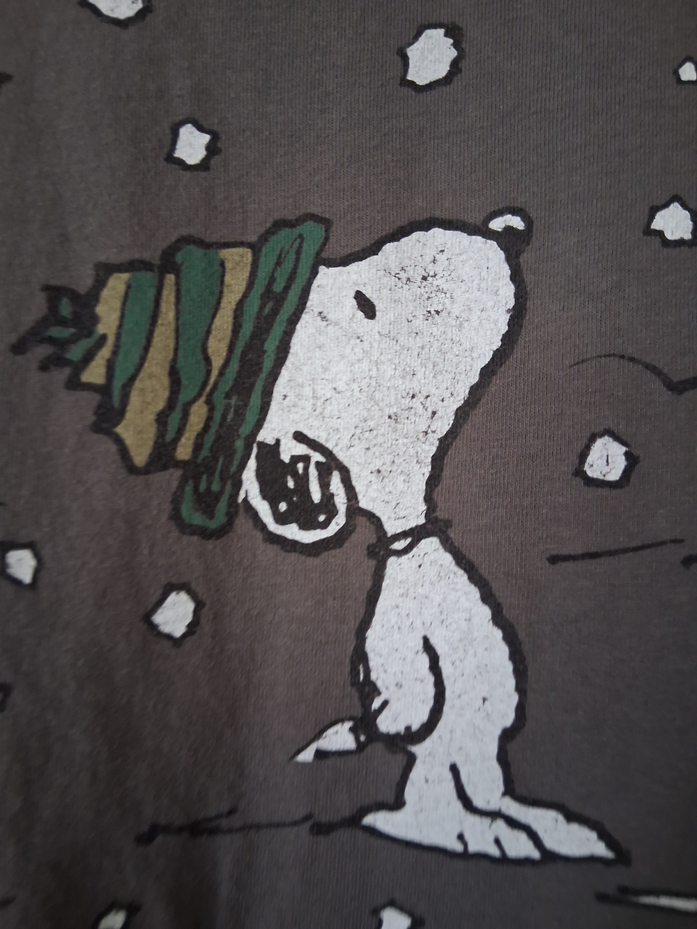 Unisex Peanuts Gray Snoopy & Woodstock Short Sleeve Tee - Picture 4 of 4